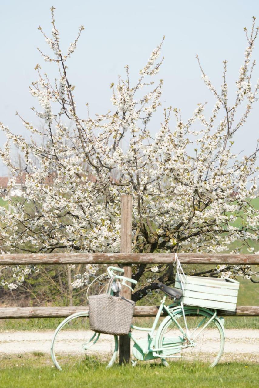 Cascina Papa Mora Villa Cellarengo Dış mekan fotoğraf